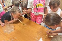 IMG_8077 IMG_8077