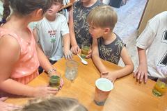 IMG_8081 IMG_8081