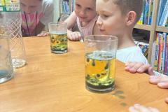 IMG_8083 IMG_8083