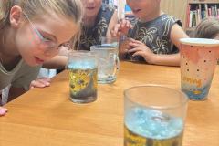 IMG_8086 IMG_8086