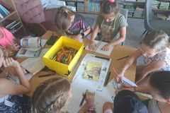 451160413_1014329640067502_6746378699649013009_n